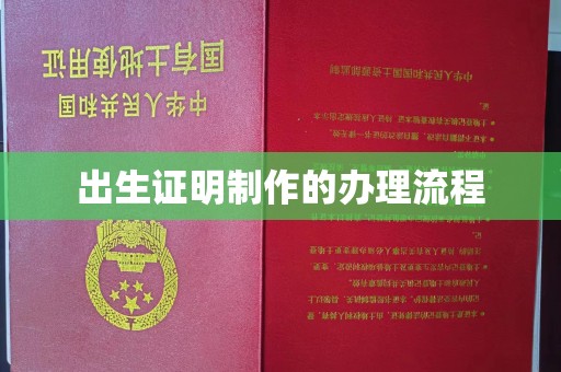 堆龙德庆出生证明制作的办理流程