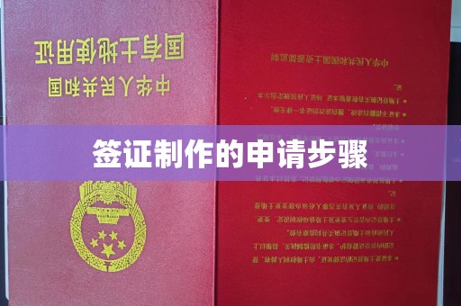明光签证制作的申请步骤
