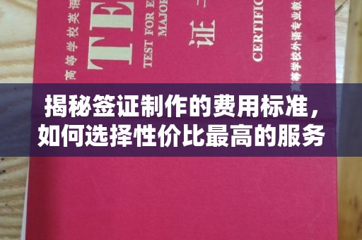 松山揭秘签证制作的费用标准，如何选择性价比最高的服务？