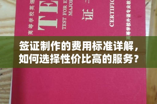 宁阳签证制作的费用标准详解，如何选择性价比高的服务？