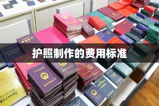 文安护照制作的费用标准